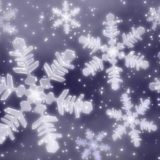 東北福島デリヘル風俗　福島美女図鑑　１２月８日（土）雪の華