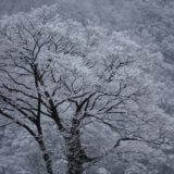 東北福島デリヘル風俗　福島美女図鑑　１２月１４日（月）初雪？