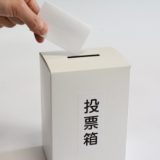 東北福島デリヘル風俗　福島美女図鑑　７月９日（日）投票日