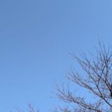東北福島デリヘル風俗　福島美女図鑑　４月１日（月）新年度
