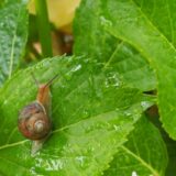 東北福島デリヘル風俗　福島美女図鑑　６月１５日（日）梅雨入り