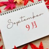 東北福島デリヘル風俗　福島美女図鑑　９月１日（火）９月スタート