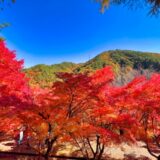 東北福島デリヘル風俗　福島美女図鑑　１０月１５日（木）秋晴れ最高